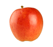 Picture of the Core Plan apple